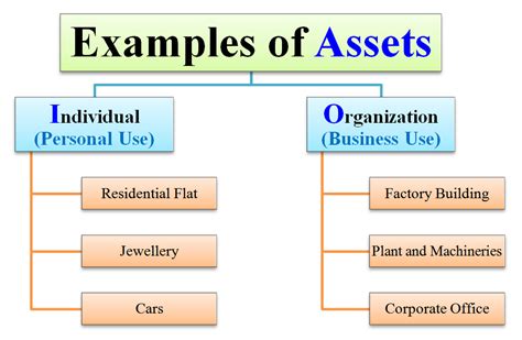 asset meanig|examples of assets.